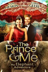 The Prince & Me 4: The Elephant Adventure 2010 one on netflix