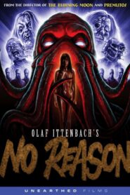 No Reason 2010 one on netflix