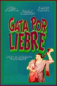 Gata por liebre 1992 one on netflix