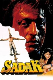 Sadak 1991 one on netflix
