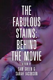 The Making of Ladies and Gentlemen, Fabulous Stains 1999 one on netflix