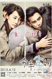 A Wedding Invitation 2013 one on netflix