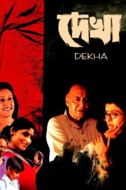 Dekha 2001 one on netflix
