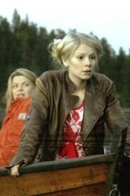 The Lake 2006 one on netflix
