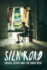 Silk Road: Drugs, Death and the Dark Web 2017 one on netflix