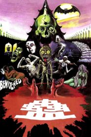 Bewitched 1981 one on netflix
