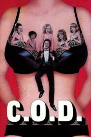 C.O.D. 1981 one on netflix