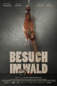 Besuch im Wald 2015 one on netflix