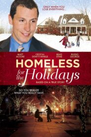 Homeless for the Holidays 2009 one on netflix
