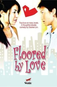 Floored by Love 2005 one on netflix