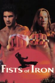 Fists of Iron 1995 one on netflix