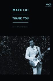 雷颂德THANK YOU演唱会 2013 one on netflix