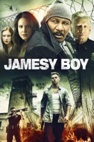 Jamesy Boy 2014 one on netflix