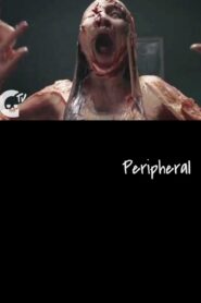 Peripheral 2017 one on netflix