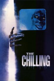 The Chilling 1989 one on netflix