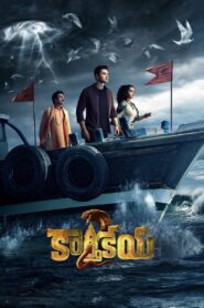 Karthikeya 2 2022 one on netflix