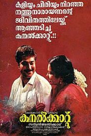 Kanalkkattu 1991 one on netflix