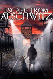 The Escape from Auschwitz 2020 one on netflix