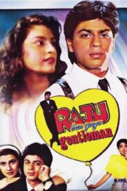 Raju Ban Gaya Gentleman 1992 one on netflix