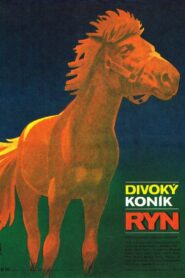 Divoký koník Ryn 1982 one on netflix