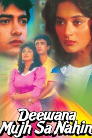 Deewana Mujh Sa Nahin 1990 one on netflix