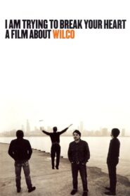 I Am Trying to Break Your Heart: A Film About Wilco 2002 one on netflix