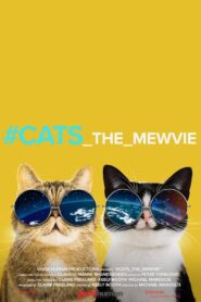 #cats_the_mewvie 2020 one on netflix