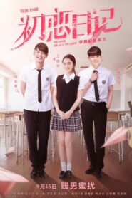 To Love or Not to Love 2017 one on netflix