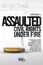 Assaulted: Civil Rights Under Fire 2013 one on netflix