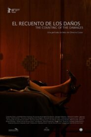 The Counting of the Damages 2010 one on netflix