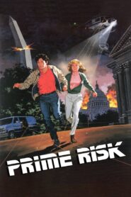 Prime Risk 1985 one on netflix