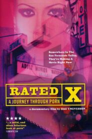 Rated X: A Journey Through Porn 1999 one on netflix
