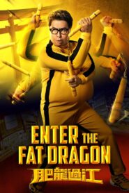 Enter the Fat Dragon 2020 one on netflix