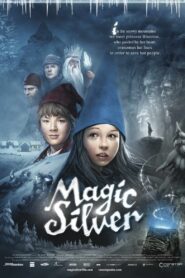 Magic Silver 2009 one on netflix