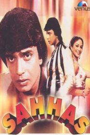 Sahhas 1981 one on netflix