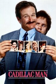 Cadillac Man 1990 one on netflix
