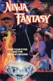 Ninja Fantasy 1986 one on netflix