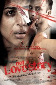 Not a Love Story 2011 one on netflix