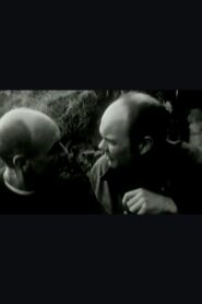 Brotherly Love 1994 one on netflix
