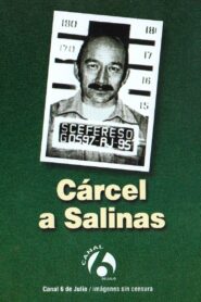 Cárcel a Salinas 1995 one on netflix