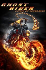 Ghost Rider: Spirit of Vengeance 2011 one on netflix