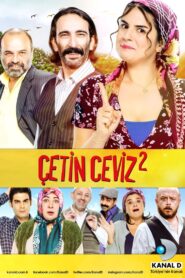 Çetin Ceviz 2 2016 one on netflix