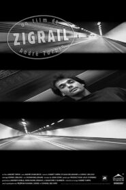 Zigrail 1995 one on netflix