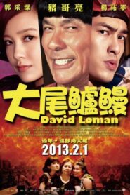 David Loman 2013 one on netflix