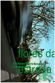 Flores da Estrada 2003 one on netflix