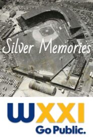 Silver Memories 2000 one on netflix