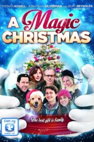 A Magic Christmas 2014 one on netflix