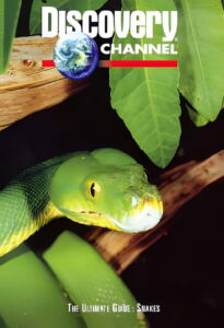 The Ultimate Guide: Snakes 1997 one on netflix
