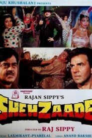 Shehzaade 1989 one on netflix