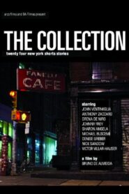 The Collection 2006 one on netflix